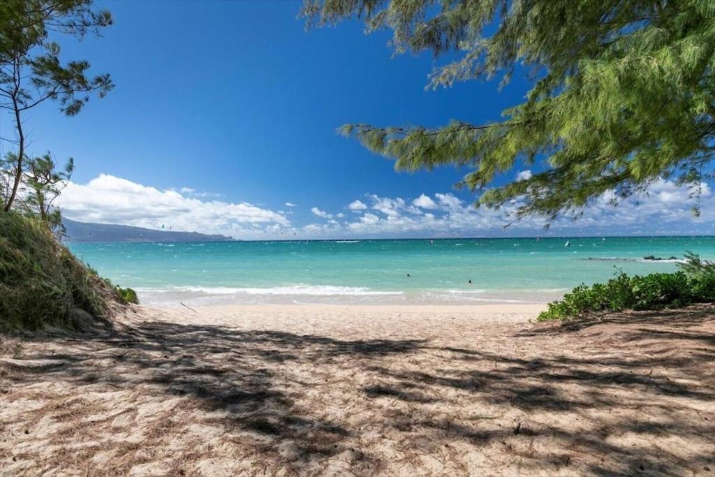 Unit 15 Maui Ohana Modern Studio Wailuku Экстерьер фото
